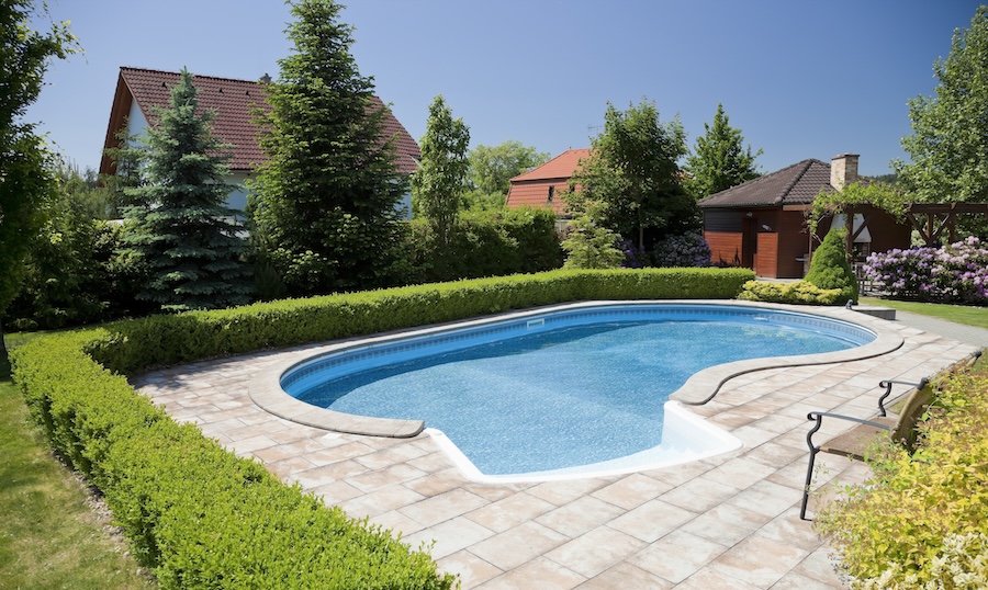 Pool surrounded by low bushes