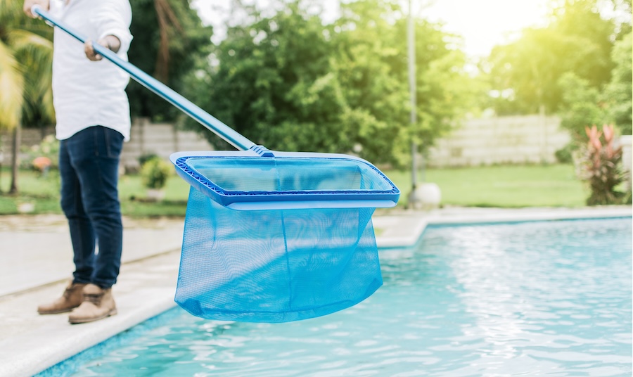 Hands holding a skimmer with blue pool in the background