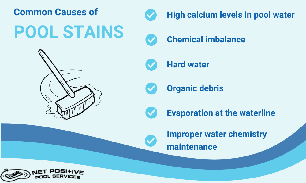 An infographic by Net Positive Pools explaining the causes of pool stains